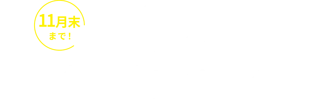 11月末まで！ピラティススタートキャンペーン実施中！