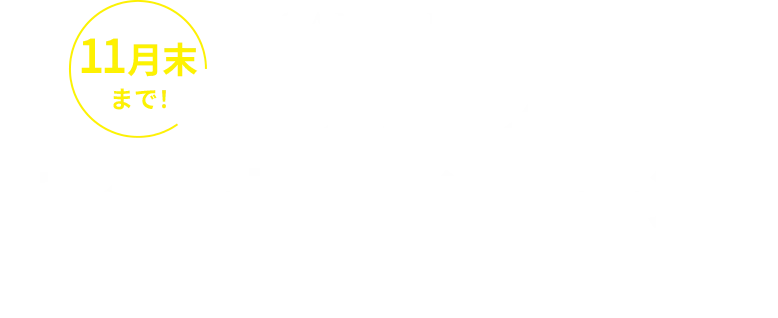 11月末まで！ピラティススタートキャンペーン実施中！