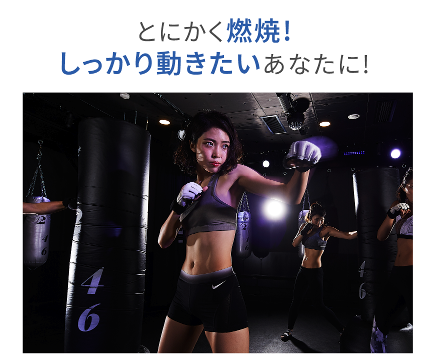 とにかく燃焼 しっかり動きたいあなたに