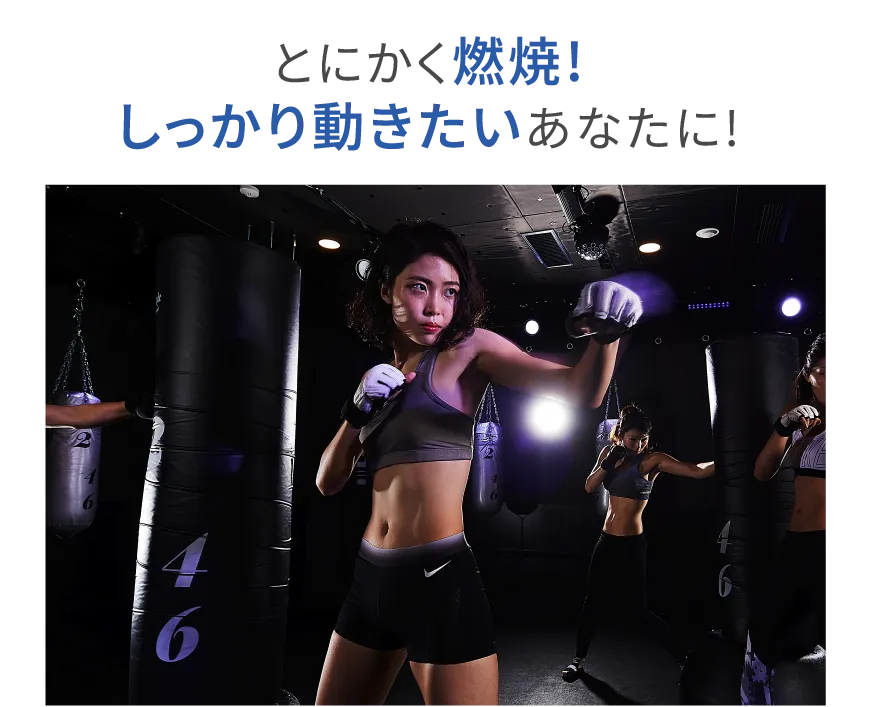 とにかく燃焼 しっかり動きたいあなたに