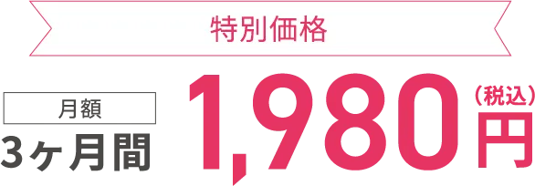 特別価格 3ヶ月間 月額1,980円（税込）
