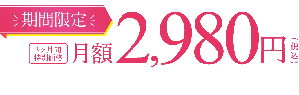 期間限定 3ヶ月間特別価格 月額2,980円(税込)