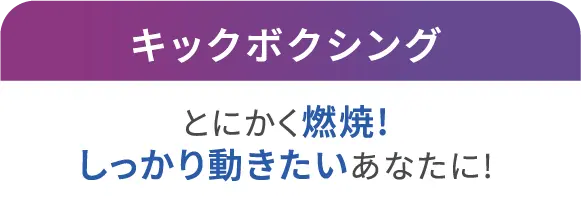 キックボクシング とにかく燃焼!しっかり動きたいあなたに!