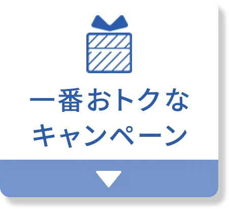 一番おトクなキャンペーン