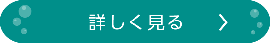詳しく見る