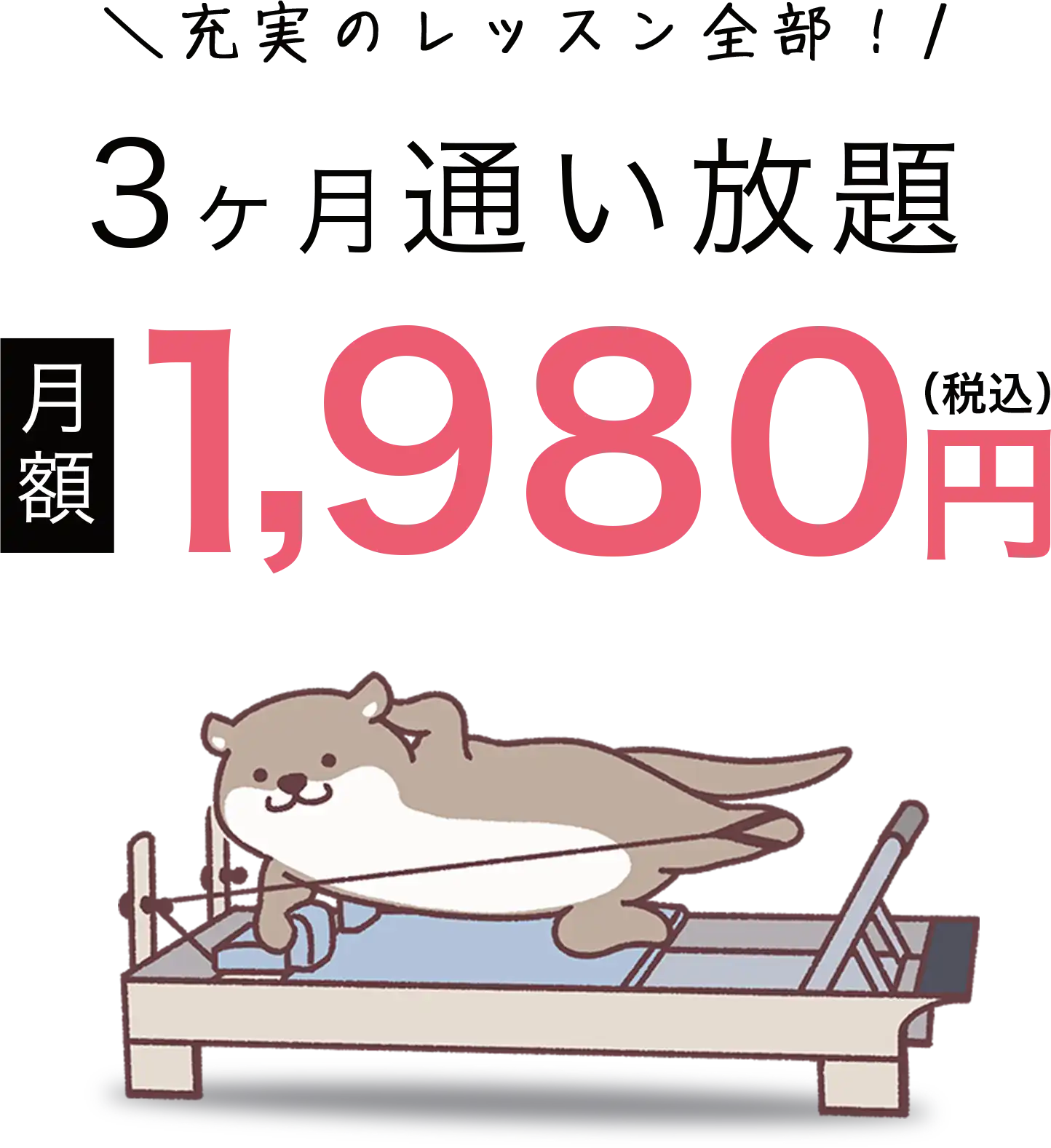 充実のレッスン全部！3ヶ月通い放題 月額1,980円（税込）