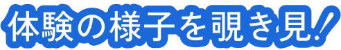 体験の様子を覗き見！