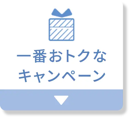 一番おトクなキャンペーン