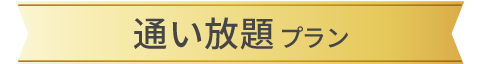 通い放題プラン