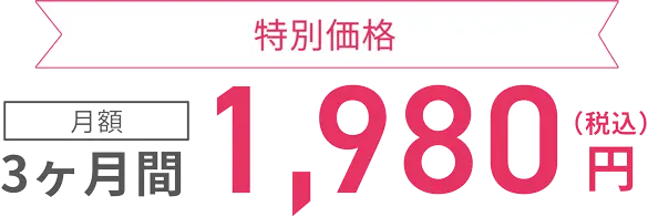 特別価格 3ヶ月間 月額 2,980円（税込）