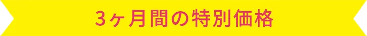 3ヶ月間の特別価格