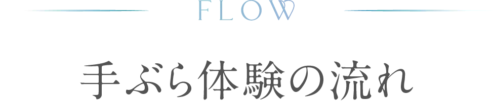 体験の流れ