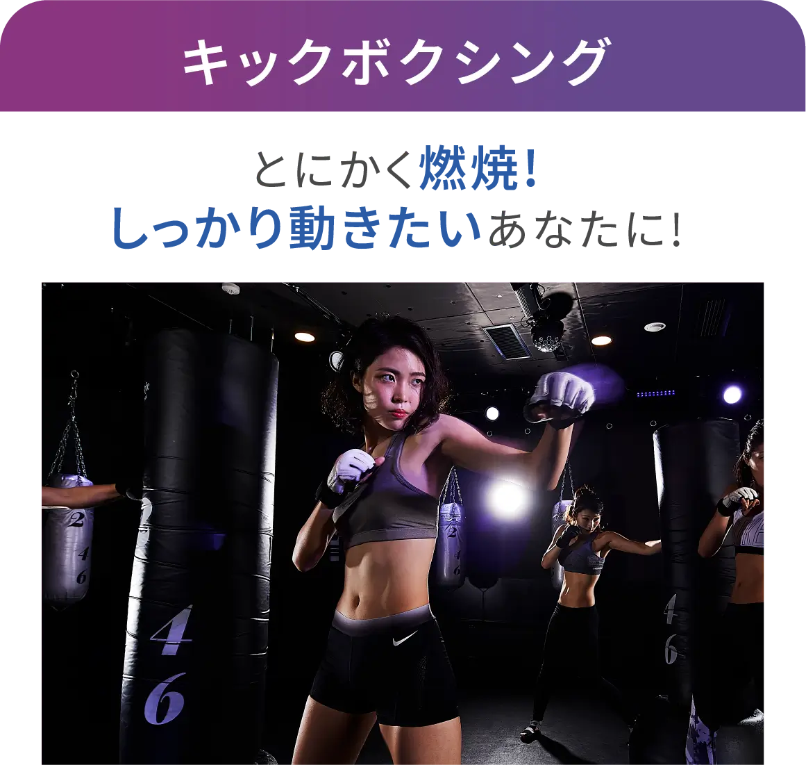 キックボクシング とにかく燃焼 しっかり動きたいあなたに！