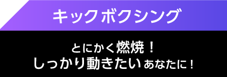 キックボクシング とにかく燃焼！しっかり動きたいあなたに！