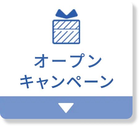 一番おトクなキャンペーン